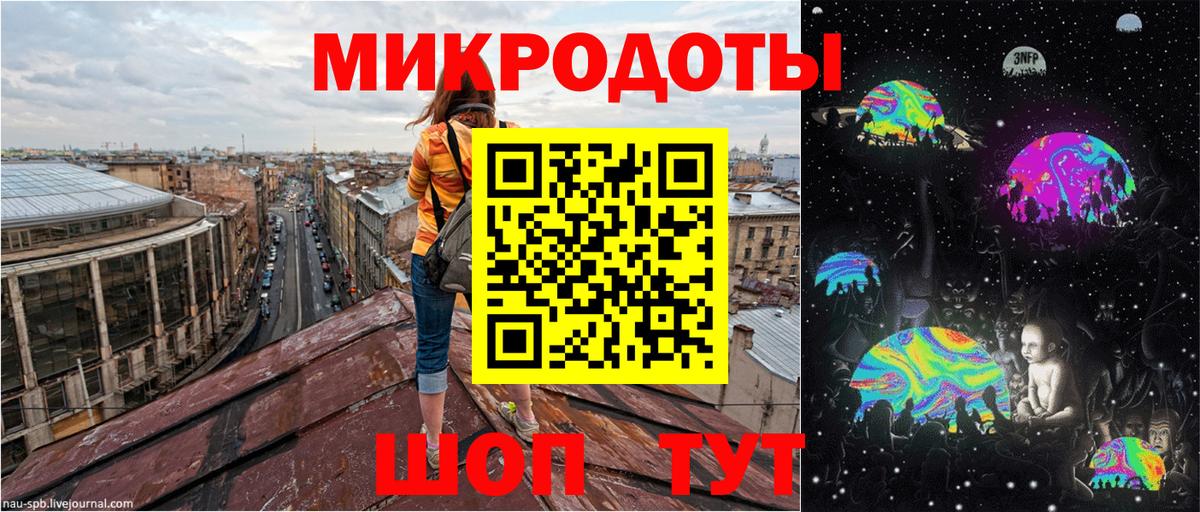 Клин  Галлюциногенные грибы Psilocybine cubensis  Галлюциногенные грибы Cubensis  Вход с VPN 
