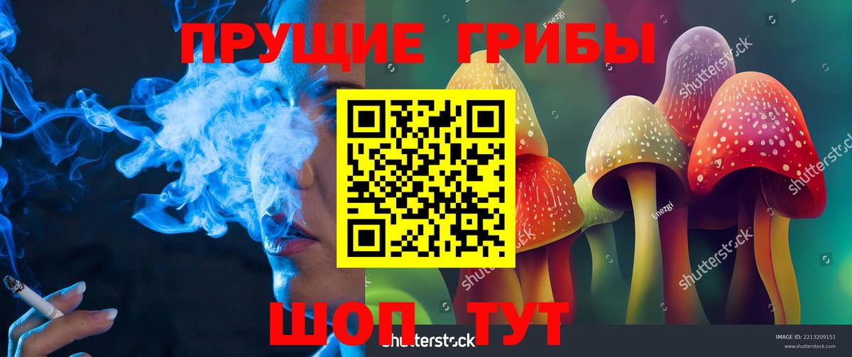 Псилоцибиновые грибы мухоморы Клин